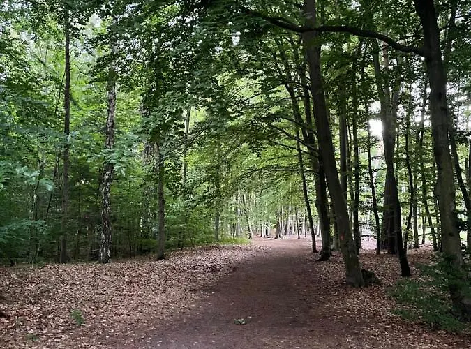 Apartament Jantar דירה *